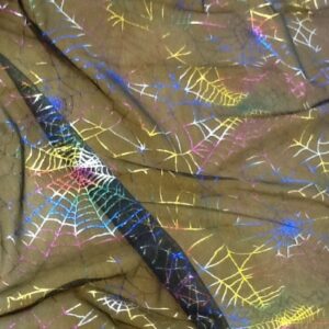 Multicolour spider web