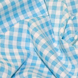Gingham ¼" Turquoise