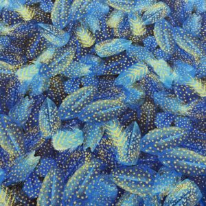 Blu20/AA - Royal Plume Packed feathers Dotted