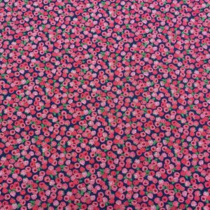 Pur04/BB - QT Mini Raspberries