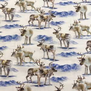 Chr17/CC - Here Comes Santa Reindeer Romp