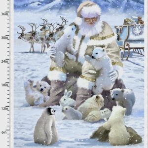 Chr19/CC - Here Comes Santa Snow Friends Panel