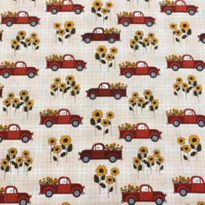Chi07/CC - Country Road Trucks Natural