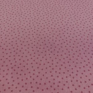 Pin02/CC - Twinkle Mini Star Primrose