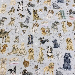 Ani11/CC - Whiskers and Paws Dogs
