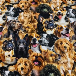 Ani01/DD - Furry Fun Dogs