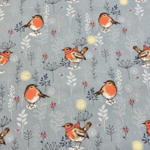 Chr26/EE - Winter Moon - Robins