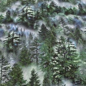 Gre06/EE - Evergreen Forest