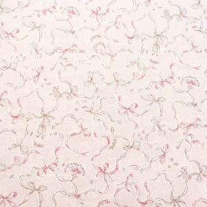 Chi02/EE - Mignon Ballet Ribbons