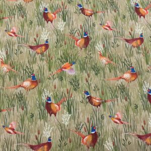 Ani12/EE - Country Pheasants - Pheasants Grass