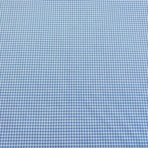 Blu14/FF - Petite Fleur - Petite Gingham Blue