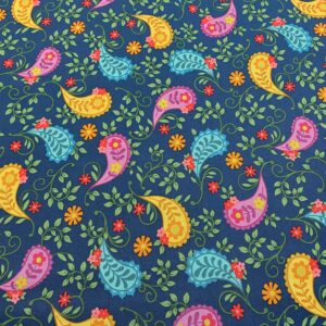 Flor11/FF - Whimsy - Big Paisley