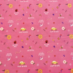 Pin07/FF - Hey Love Bug - Little Joys