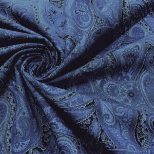 C05/GG - Paisley Blue Cotton Poplin