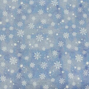 Chr16/GG Roar A-Frost – Frosty Snowflakes