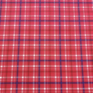 Red01/GG - Holly Jolly Patch - Red Check